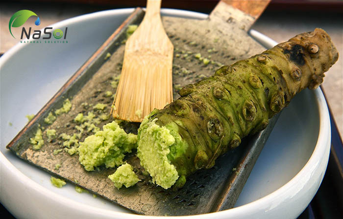 wasabi là gì