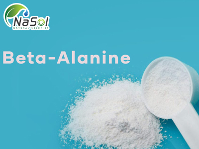 Beta – Alanine (axit amin của thể thao)