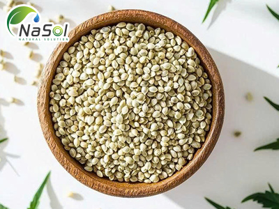 Hemp seed peptide