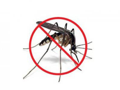 Nhân rộng thành công mô hình chiến dịch “Người dân tự diệt muỗi, lăng quăng phòng chống dịch bệnh do vi rút Zika và Sốt xuất huyết”