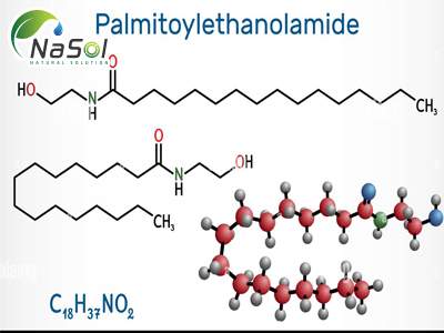 7 Lợi ích sức khỏe của Palmitoylethanolamide (PEA)