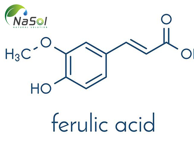 Acid Ferulic là gì? Những lợi ích với sức khỏe