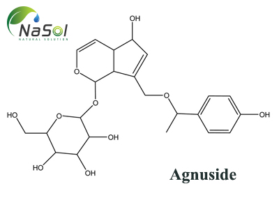 Agnuside là gì? Nguồn gốc và công dụng