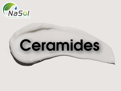 Ceramides: Tác dụng, tác dụng phụ và nguồn gốc