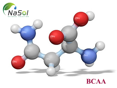 5 lợi ích sức khỏe của BCAA (Axit amin chuỗi nhánh)