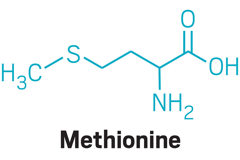 Methionine là gì