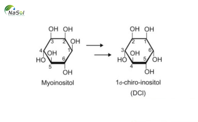 chuyển hóa Myo-inositol thành D-chiro-Inositol trong cơ thể