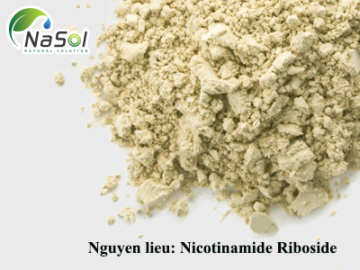 Nicotinamide Riboside: Lợi ích, tác dụng phụ và liều lượng