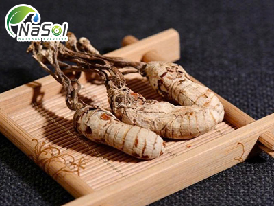 Cicadae cicada peptide: peptide từ xác ve sầu
