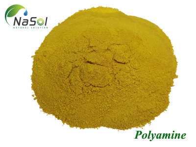 Polyamine: Công dụng, tác dụng phụ và liều lượng