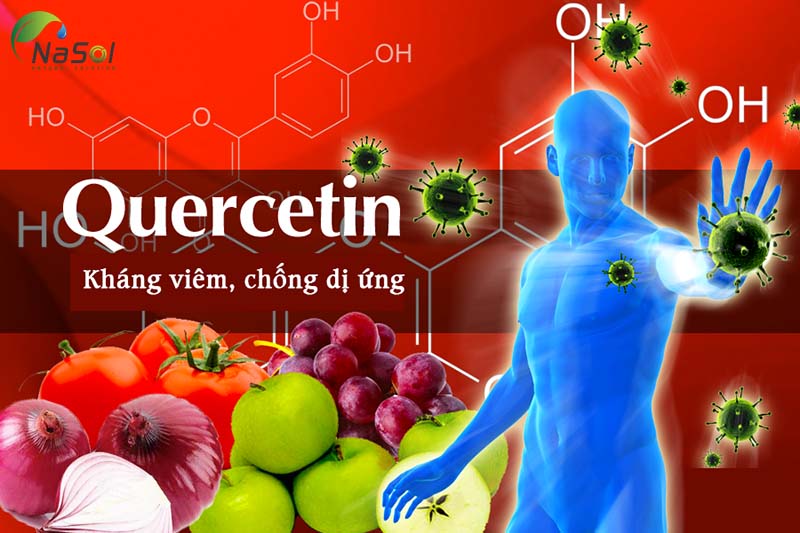 Quercetin giúp kháng viêm và chống dị ứng