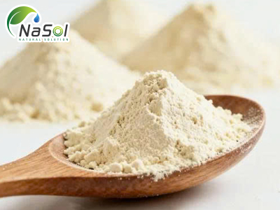 Soy protein là gì?