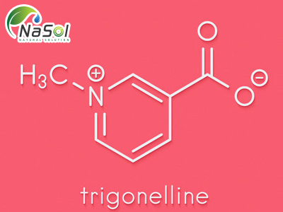 Trigonelline là gì? Những lợi ích sức khỏe