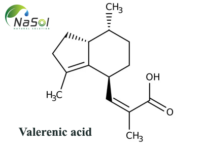 Valerenic acid là gì? Nguồn gốc, cấu trúc và công dụng
