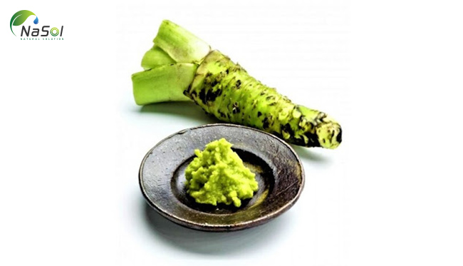 Wasabi có tác dụng kháng khuẩn