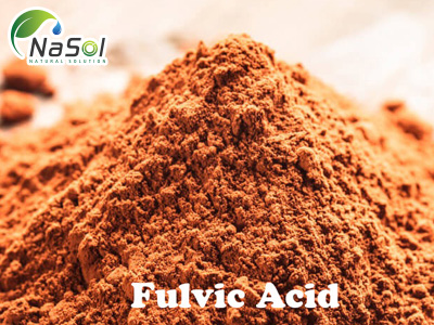 Fulvic acid: Cấu trúc, tính chất và lợi ích sức khỏe