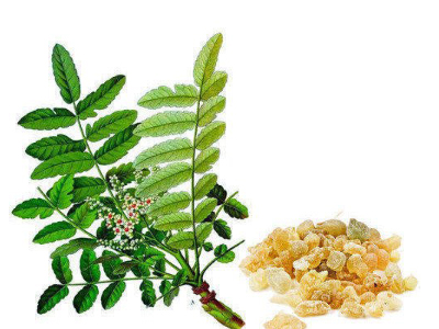 Boswellia (Nhũ hương Ấn Độ): Lợi ích, cách sử dụng và tác dụng phụ