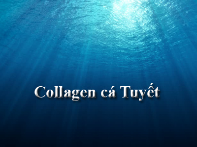 6 lợi ích hàng đầu của việc bổ sung collagen