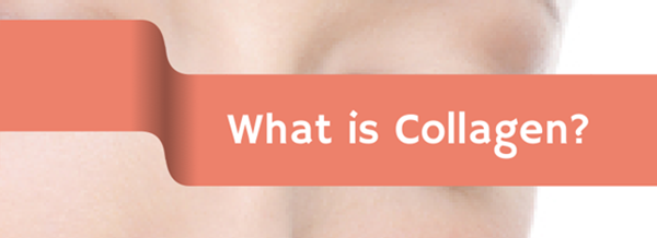 collagen là gì?