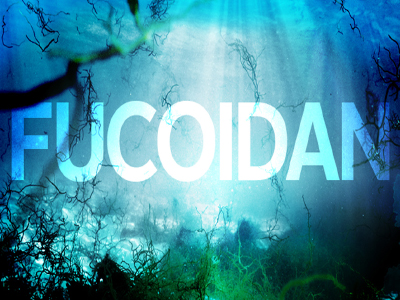 Fucoidan và những công dụng tuyệt vời có thể bạn chưa biết