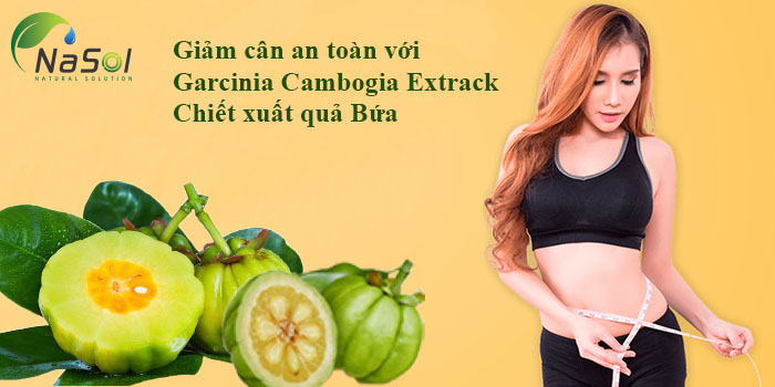 garcinia cambogia hỗ trợ giảm cân