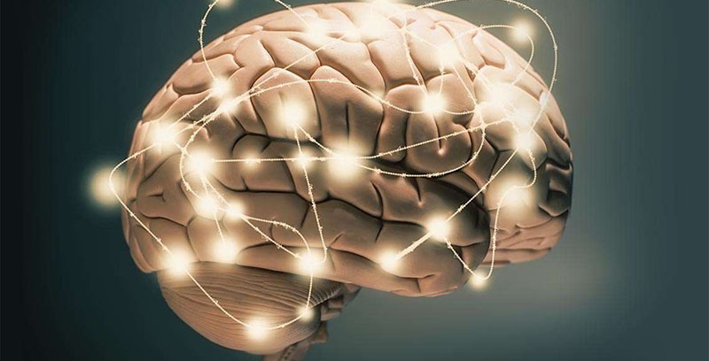 ginkgo biloba giúp tăng cường trí nhớ