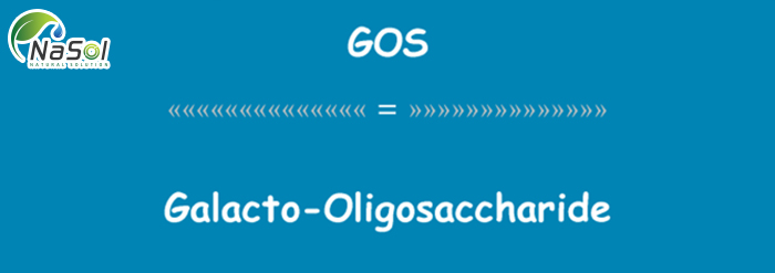 Lợi ích của Galacto-Oligosacharide