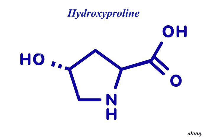 Hdroxyproline là gì