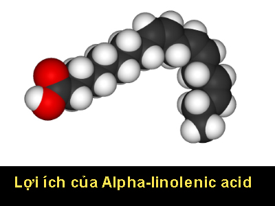Lợi ích của Alpha-linolenic acid (ALA)