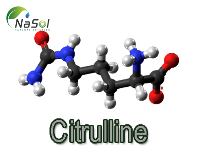 Lợi ích của Citrulline