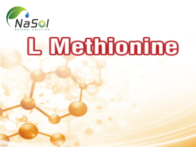 Lợi ích sức khỏe của Methionine