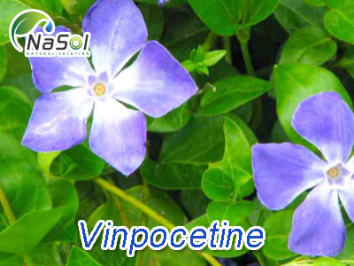 Lợi ích sức khỏe của Vinpocetine