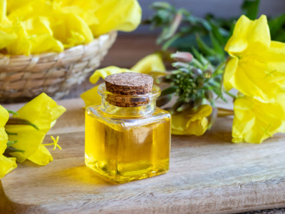 Lợi ích sức khỏe của dầu hoa anh thảo (Evening primrose oil)