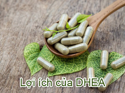 Lợi ích sức khỏe của thực phẩm bổ sung DHEA