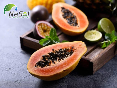 7 lợi ích sức khỏe dựa trên bằng chứng của đu đủ (Papaya)