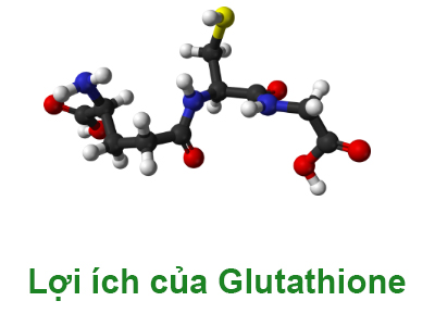 Lợi ích của Glutathione