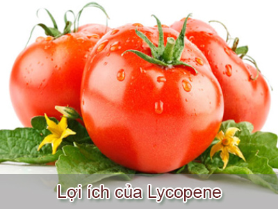 Lycopene: Lợi ích sức khỏe và nguồn thực phẩm hàng đầu
