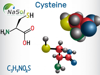 9 lợi ích hàng đầu của NAC (N-Acetyl Cysteine)