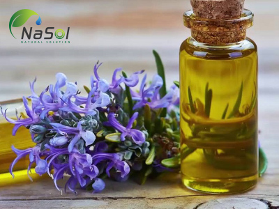 12 lợi ích và công dụng của tinh dầu hương thảo
