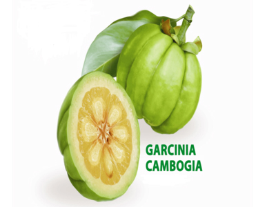 Garcinia Cambogia: Lợi ích, liều dùng và tác dụng phụ