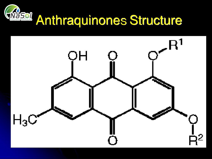 Lợi ích sức khỏe của Anthraquinones