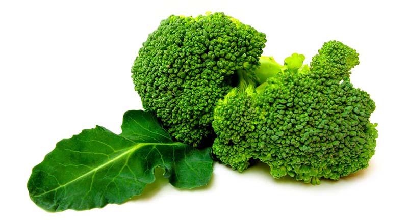 mầm bông cải xanh chứa các chất chống oxy hóa