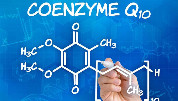 nguồn gốc ra đời của coenzyme q10
