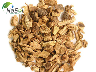 Gentian Root (Rễ Long đởm): Công dụng và tác dụng phụ