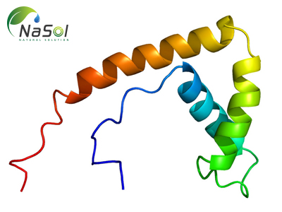 Vai trò của Protein HMGB1
